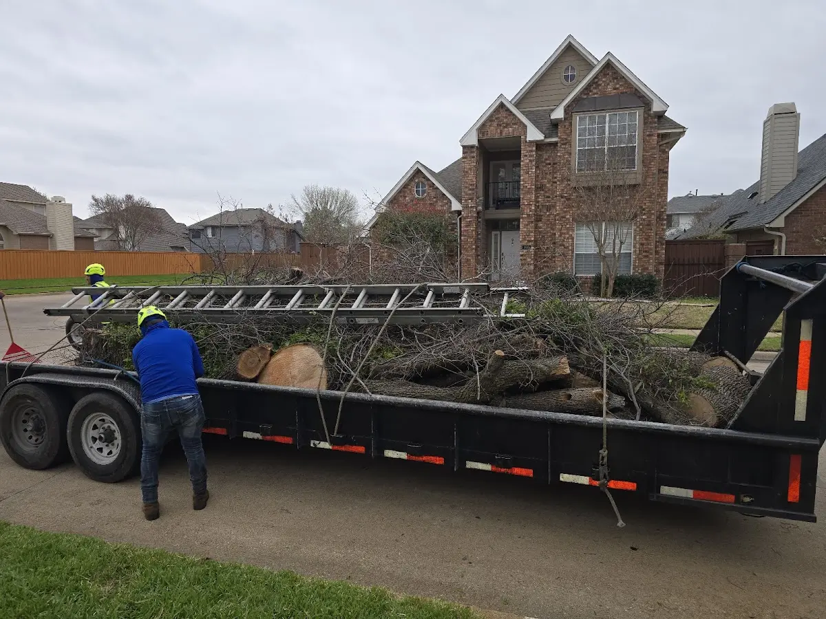 Expert Crown Reduction with proper safety equipment in Zionsville